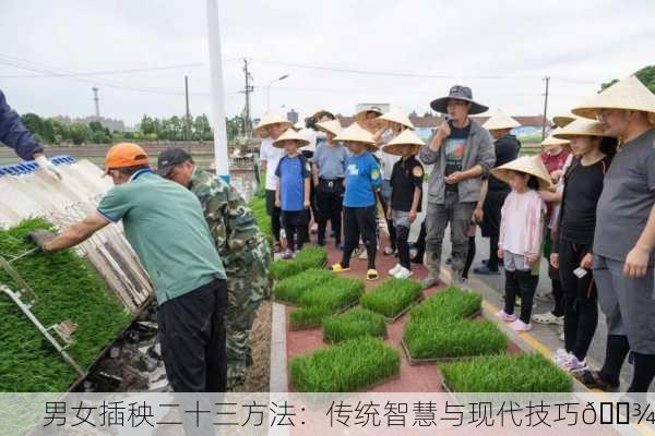 男女插秧二十三方法：传统智慧与现代技巧🌾
