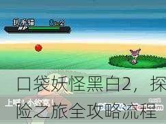 口袋妖怪黑白2，探险之旅全攻略流程