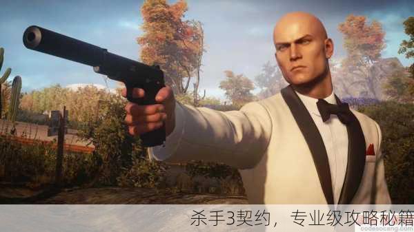 杀手3契约，专业级攻略秘籍