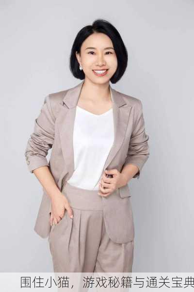 围住小猫，游戏秘籍与通关宝典