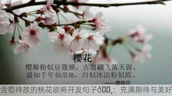 含苞待放的桃花欲将开发句子🌸：充满期待与美好