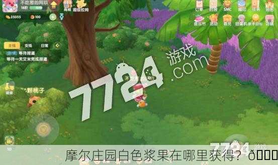 摩尔庄园白色浆果在哪里获得？🌟