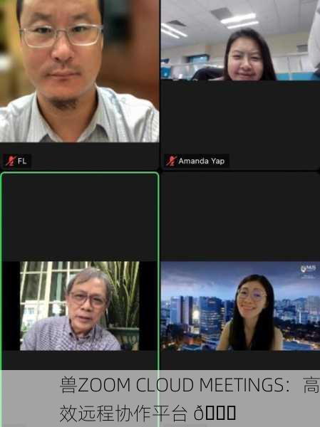 兽ZOOM CLOUD MEETINGS：高效远程协作平台 🌟