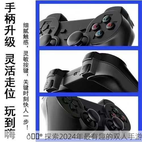 🎮 探索2024年最有趣的双人手游