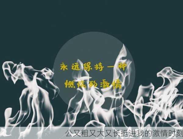 公又粗又大又长挺进我的激情时刻