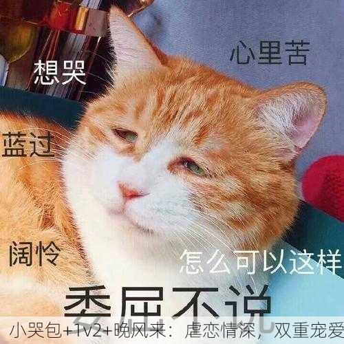 小哭包+1v2+晚风来：虐恋情深，双重宠爱