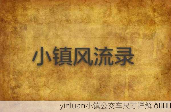 yinluan小镇公交车尺寸详解 🚍
