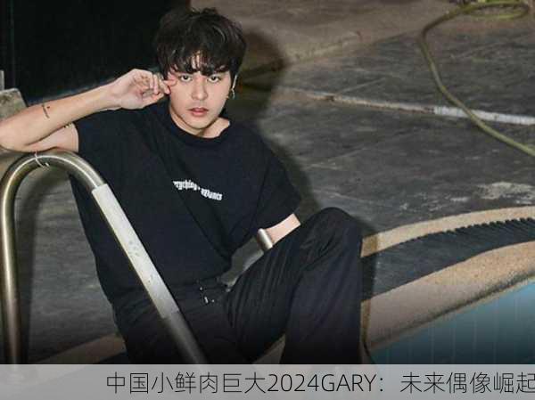 中国小鲜肉巨大2024GARY：未来偶像崛起
