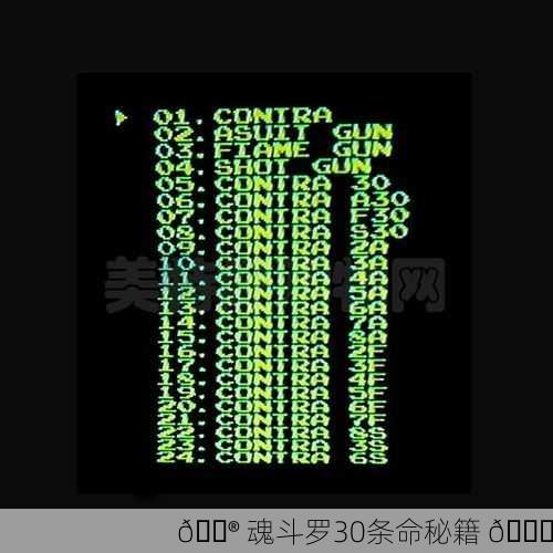 🎮 魂斗罗30条命秘籍 🔍