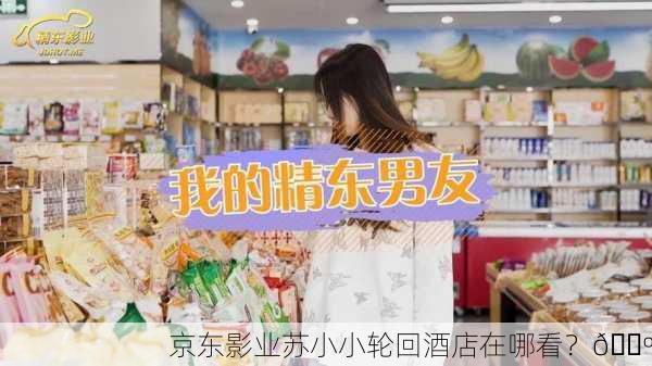 京东影业苏小小轮回酒店在哪看？📺