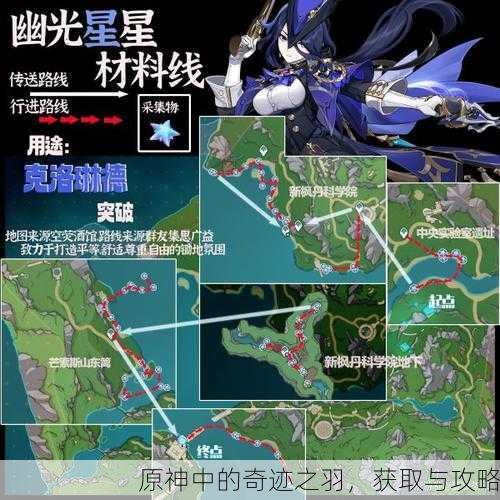 原神中的奇迹之羽，获取与攻略
