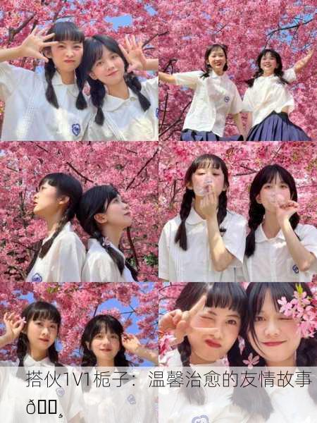 搭伙1V1栀子：温馨治愈的友情故事 🌸