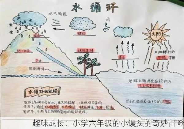 趣味成长：小学六年级的小馒头的奇妙冒险