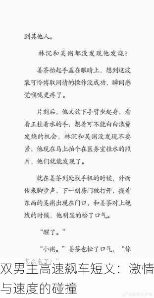 双男主高速飙车短文：激情与速度的碰撞