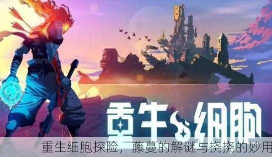 重生细胞探险，藤蔓的解谜与挠挠的妙用