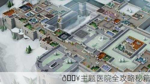 🏥主题医院全攻略秘籍
