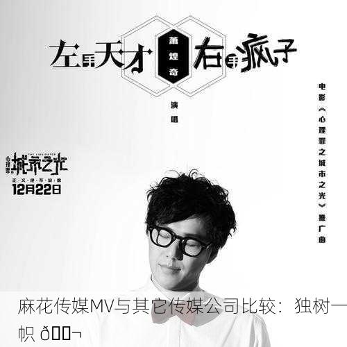 麻花传媒MV与其它传媒公司比较：独树一帜 🎬