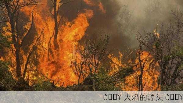 🔥 火焰的源头 🔥