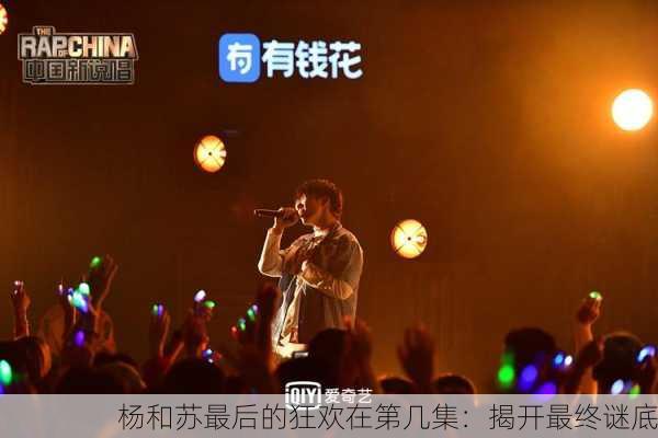 杨和苏最后的狂欢在第几集：揭开最终谜底