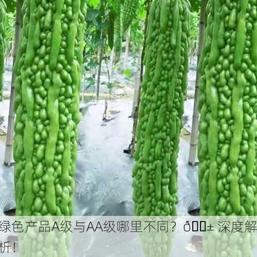 绿色产品A级与AA级哪里不同？🌱 深度解析！