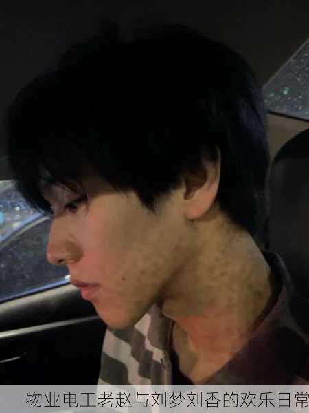 物业电工老赵与刘梦刘香的欢乐日常