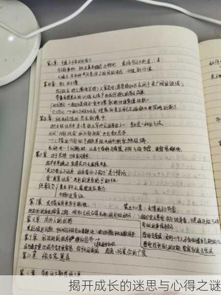 揭开成长的迷思与心得之谜