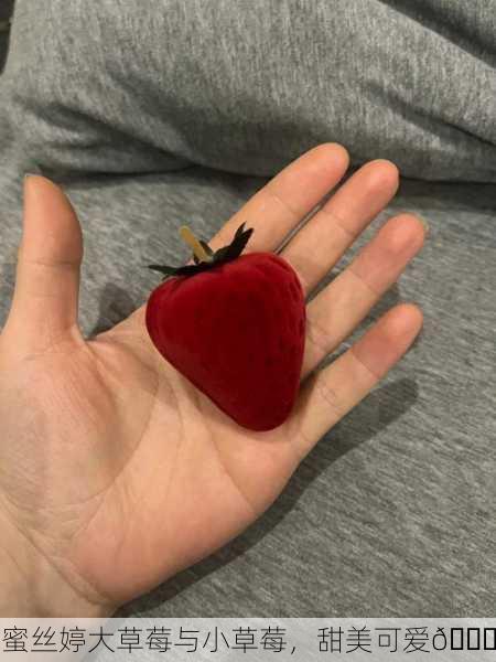 蜜丝婷大草莓与小草莓，甜美可爱🍓