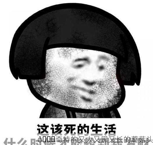 🍄奇特的又大又黑又长的蘑菇头
