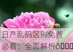 日产乱码区别免费必看：全面解析🔍