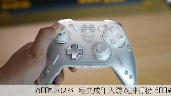 🎮 2023年经典成年人游戏排行榜 🔥