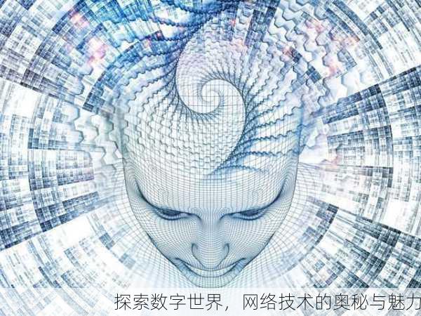 探索数字世界，网络技术的奥秘与魅力