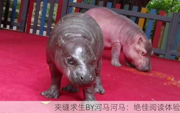 夹缝求生BY河马河马：绝佳阅读体验