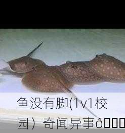 鱼没有脚(1v1校园）奇闻异事🐟