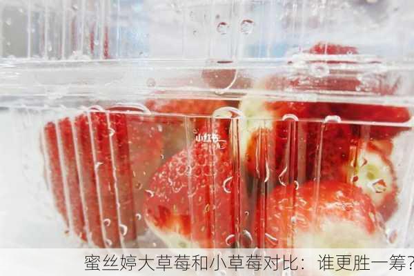 蜜丝婷大草莓和小草莓对比：谁更胜一筹？