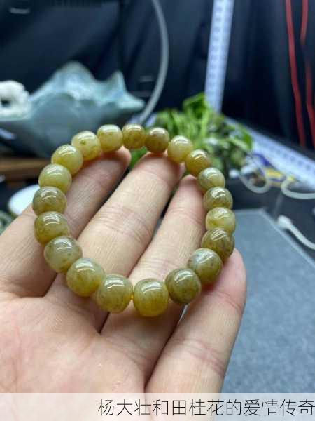 杨大壮和田桂花的爱情传奇