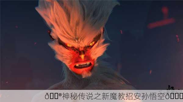 🔮神秘传说之新魔教招安孙悟空🐒