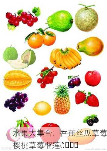 水果大集合：香蕉丝瓜草莓樱桃草莓榴莲🍓