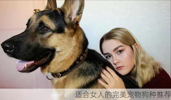 适合女人的完美宠物狗种推荐