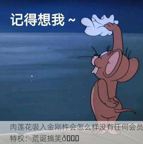 肉莲花吸入金刚杵会怎么样没有任何会员特权：荒诞搞笑😂