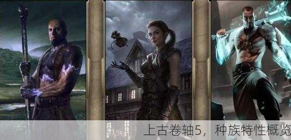 上古卷轴5，种族特性概览