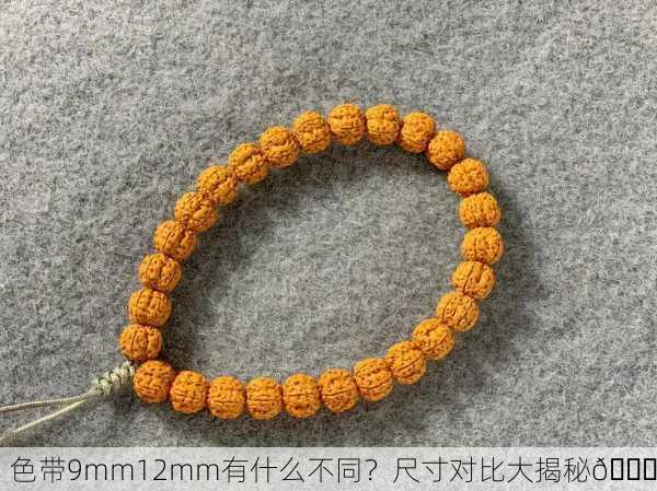 色带9mm12mm有什么不同？尺寸对比大揭秘🔍