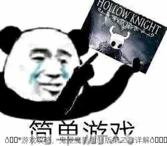 🎮游戏攻略，鬼屋魔影重制版第二章详解🔍
