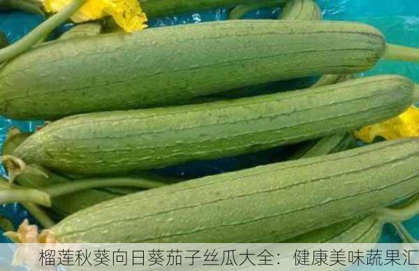 榴莲秋葵向日葵茄子丝瓜大全：健康美味蔬果汇