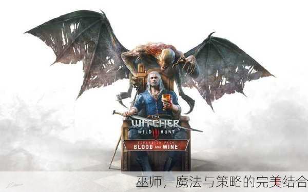 巫师，魔法与策略的完美结合
