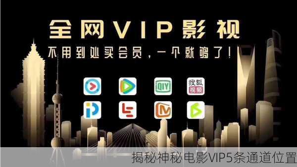 揭秘神秘电影VIP5条通道位置