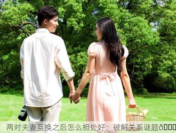 两对夫妻互换之后怎么相处好：破解关系谜题🔍