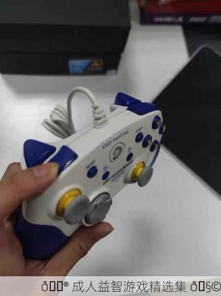 🎮 成人益智游戏精选集 🧩