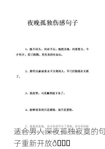 适合男人深夜孤独寂寞的句子重新开放🌙