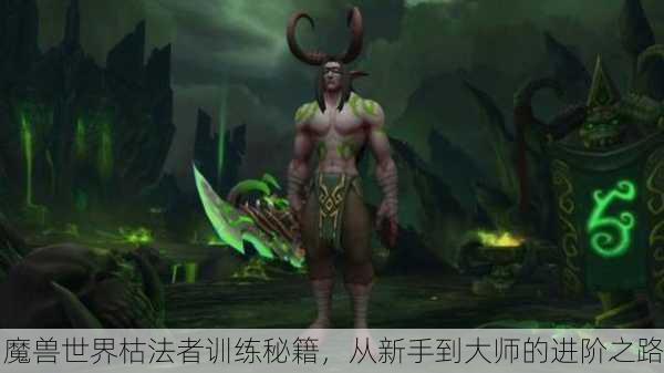 魔兽世界枯法者训练秘籍，从新手到大师的进阶之路