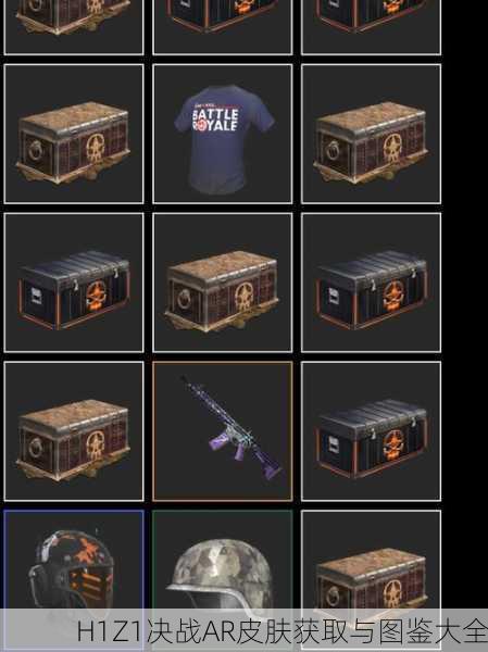 H1Z1决战AR皮肤获取与图鉴大全